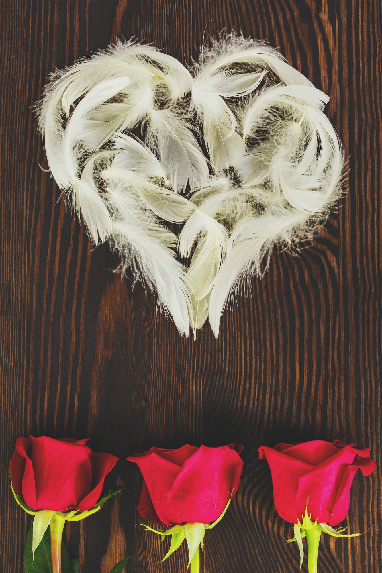 White feather heart and roses